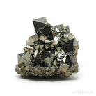 Pyrite Natural Cluster from the Huanzala Mine, Huallanca District, Dos de Mayo Province, Huánuco Department, Peru | Venusrox
