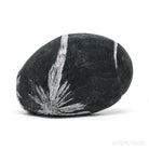 Chrysanthemum Stone from China | Venusrox