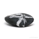 Chrysanthemum Stone from China | Venusrox