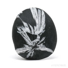 Chrysanthemum Stone from China | Venusrox