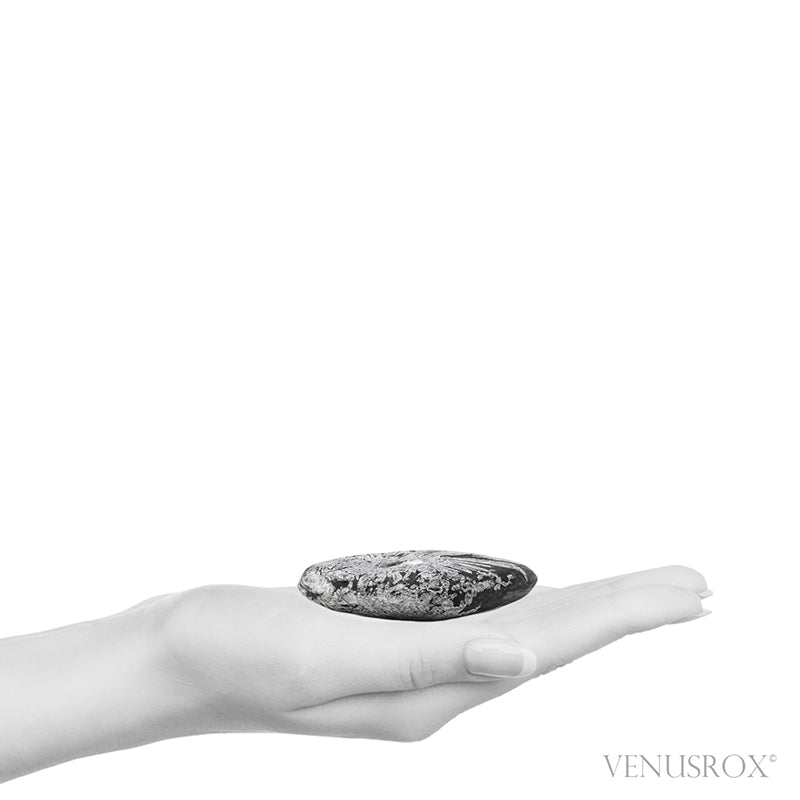 Chrysanthemum Stone from China | Venusrox