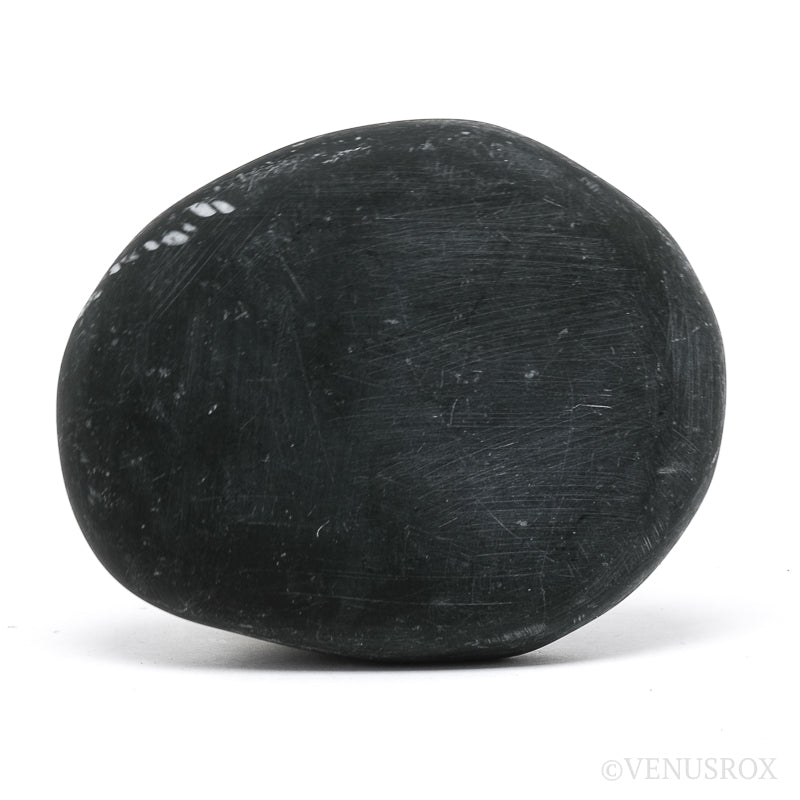 Chrysanthemum Stone from China | Venusrox
