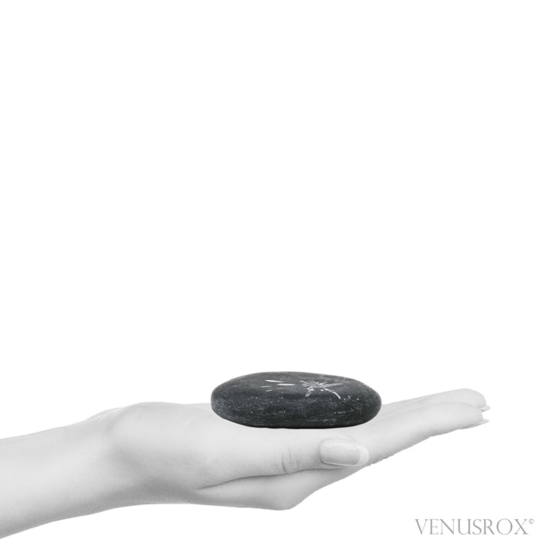 Chrysanthemum Stone | Venusrox