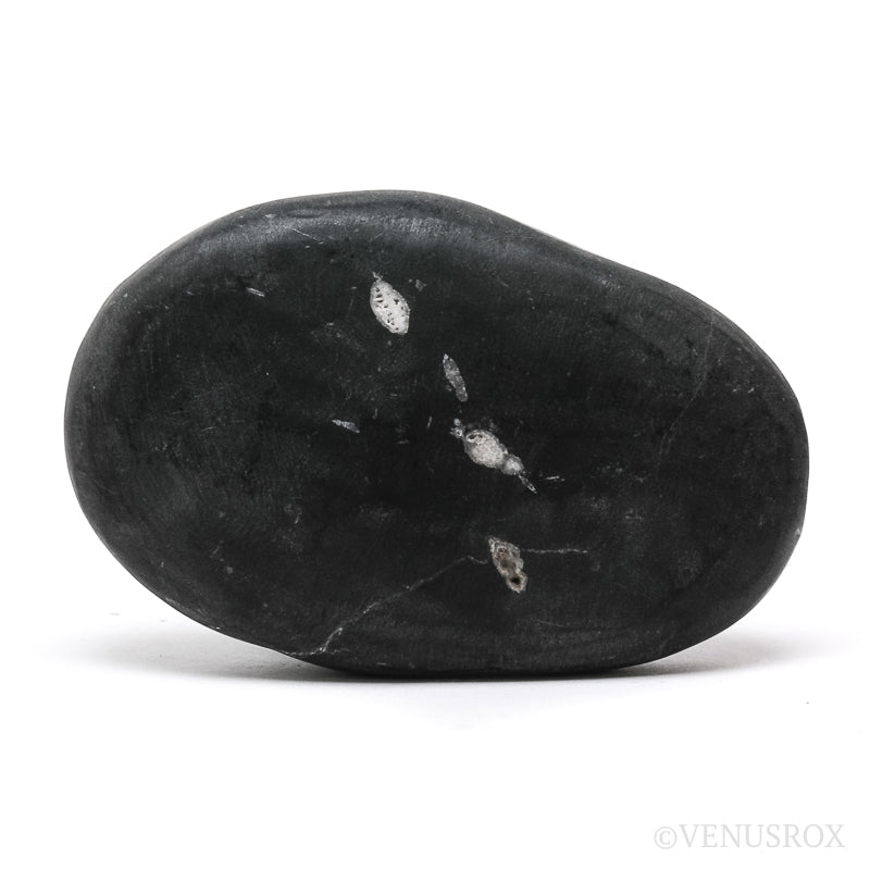 Chrysanthemum Stone from China | Venusrox