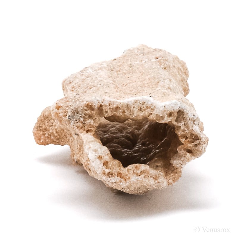 Fulgurite from North Africa | Venusrox