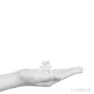 Clear Quartz Polished Star from Brazil | Venusrox