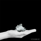 Clear Quartz Natural Cluster from Corinto, Minas Gerais, Brazil | Venusrox