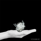 Clear Quartz Natural Cluster from Corinto, Minas Gerais, Brazil | Venusrox