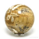 Petrified Wood Sphere from Indonesia | Venusrox