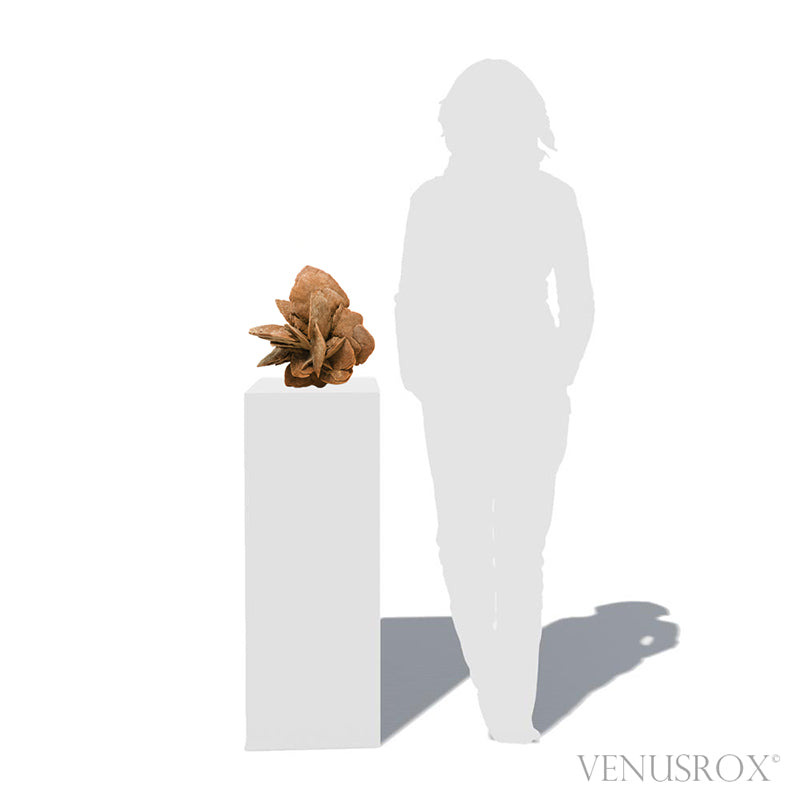 An exceptionally beautiful Desert Rose Natural Cluster from Morocco | Venusrox, the UK's Premier Crystal Showroom