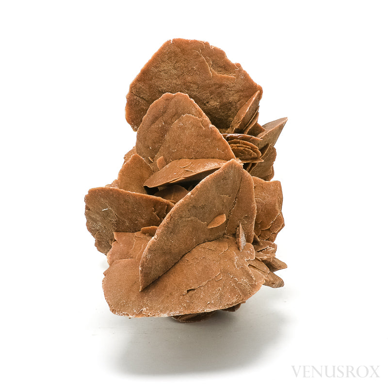 An exceptionally beautiful Desert Rose Natural Cluster from Morocco | Venusrox, the UK's Premier Crystal Showroom
