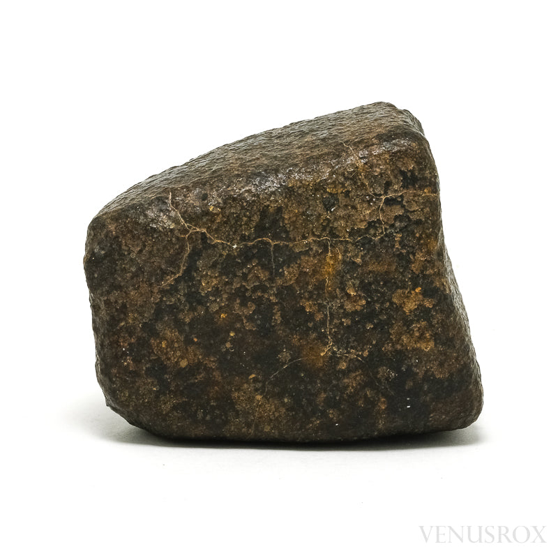 NWA Chondrite Meteorite Fragment from Sahara Desert, North-West Africa | Venusrox