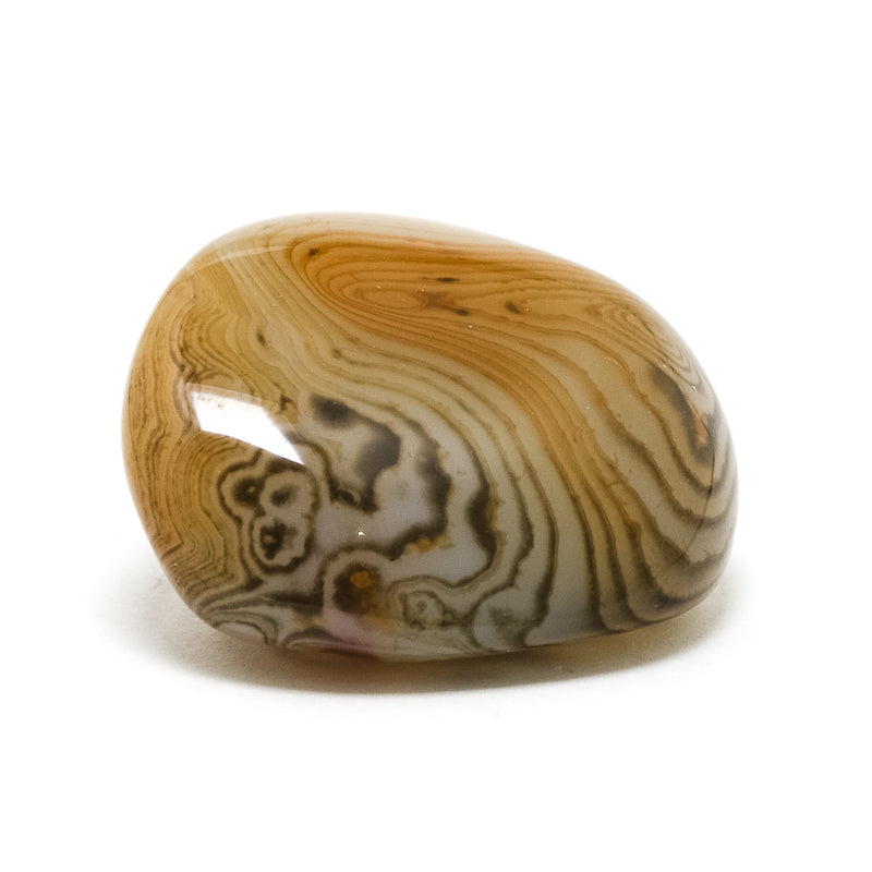 Dendritic Agate Polished Crystal from Madagascar | Venusrox