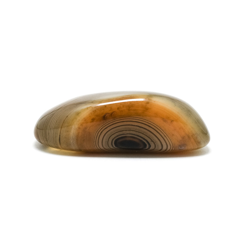 Dendritic Agate Polished Crystal from Madagascar | Venusrox
