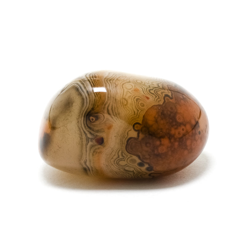 Dendritic Agate/Carnelian Polished Crystal from Madagascar | Venusrox