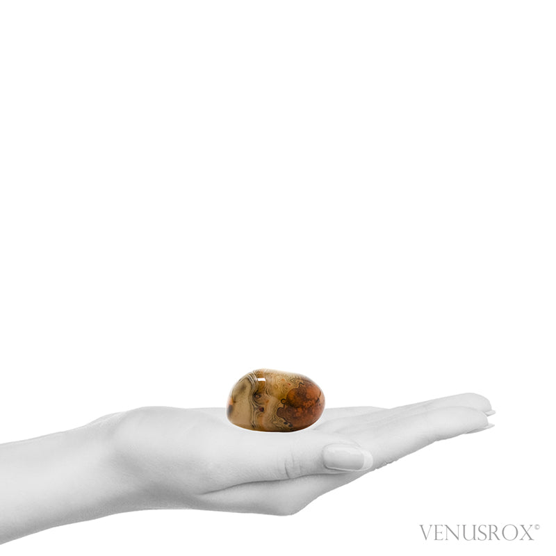 Dendritic Agate/Carnelian Polished Crystal from Madagascar | Venusrox