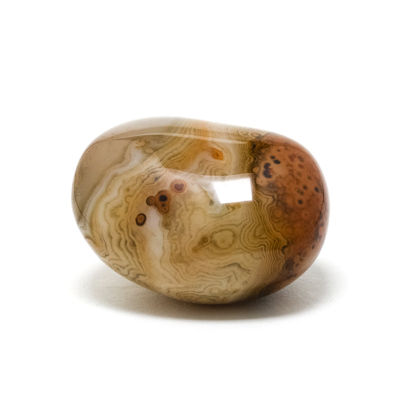 Dendritic Agate/Carnelian Polished Crystal from Madagascar | Venusrox