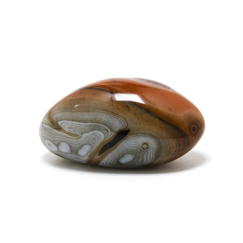 Dendritic Agate/Carnelian Polished Crystal from Madagascar | Venusrox