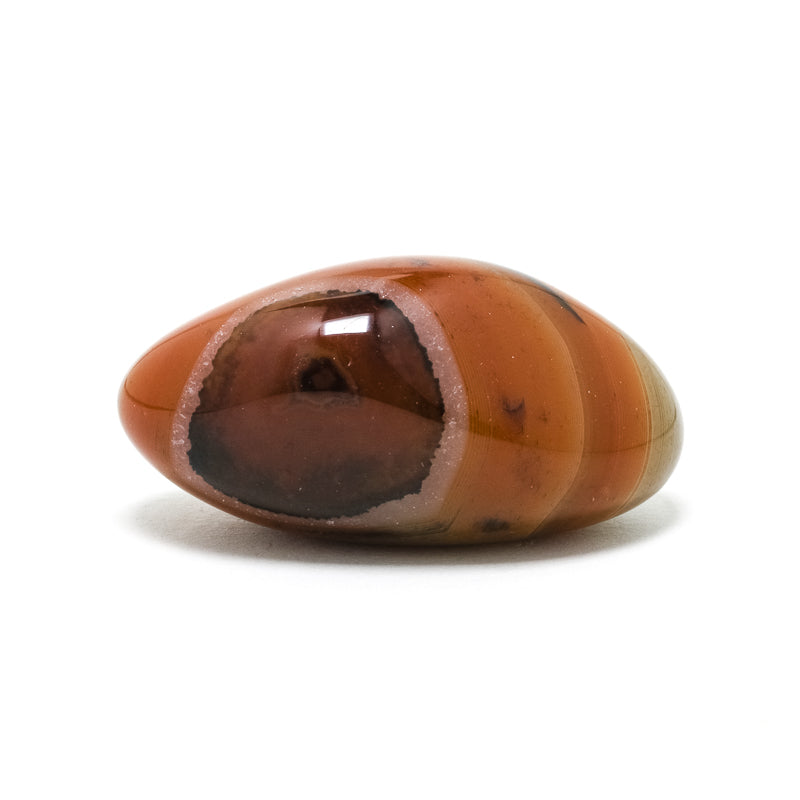 Dendritic Agate/Carnelian Polished Crystal from Madagascar | Venusrox