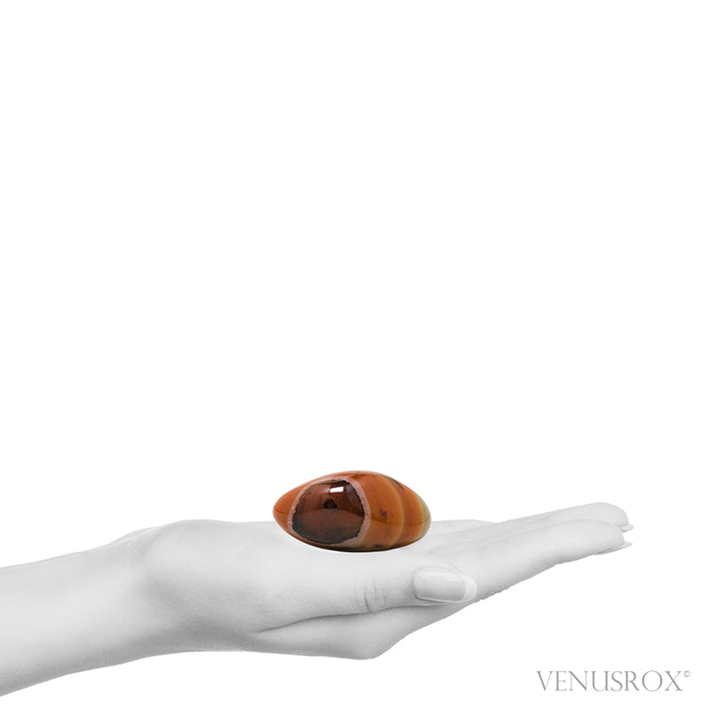 Dendritic Agate/Carnelian Polished Crystal from Madagascar | Venusrox