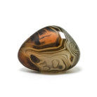 Dendritic Agate Polished Crystal from Madagascar | Venusrox