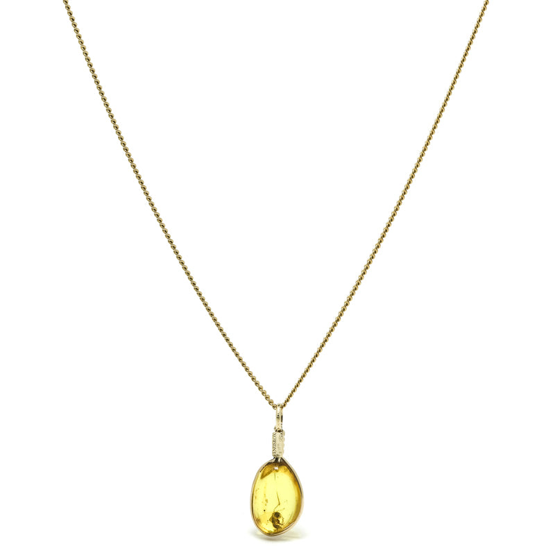 Natural Baltic Amber with Insect Polished Crystal Pendant | Venusrox