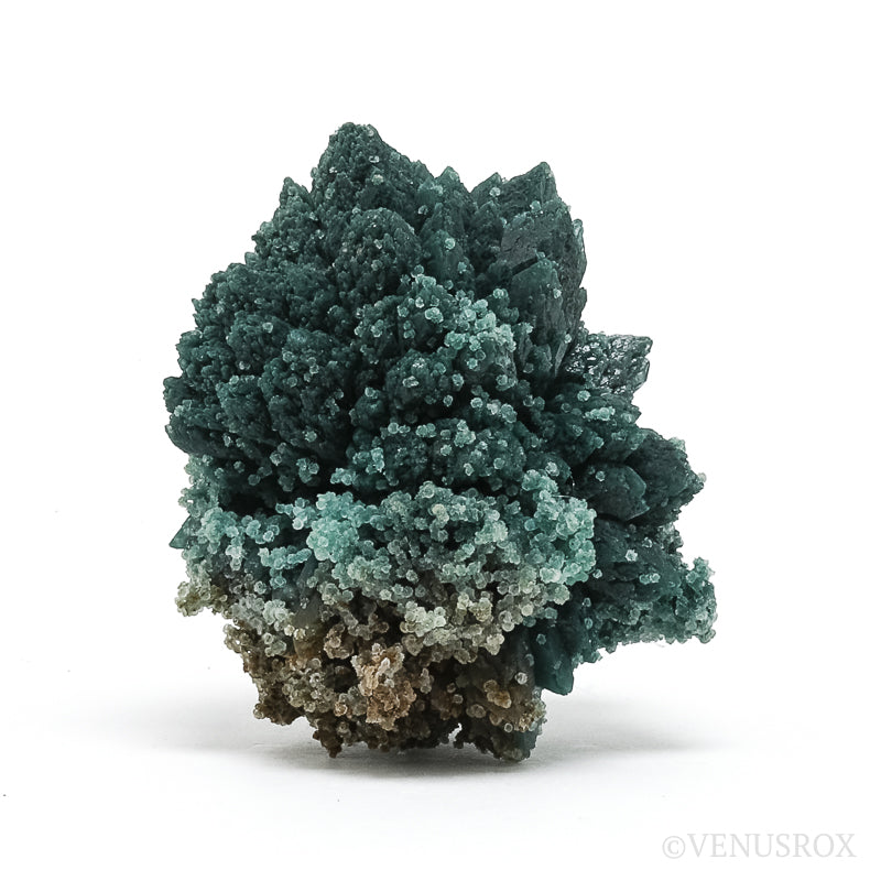 Celadonite included Apophyllite Natural Cluster from Jalgaon, Maharashtra, India | Venusrox