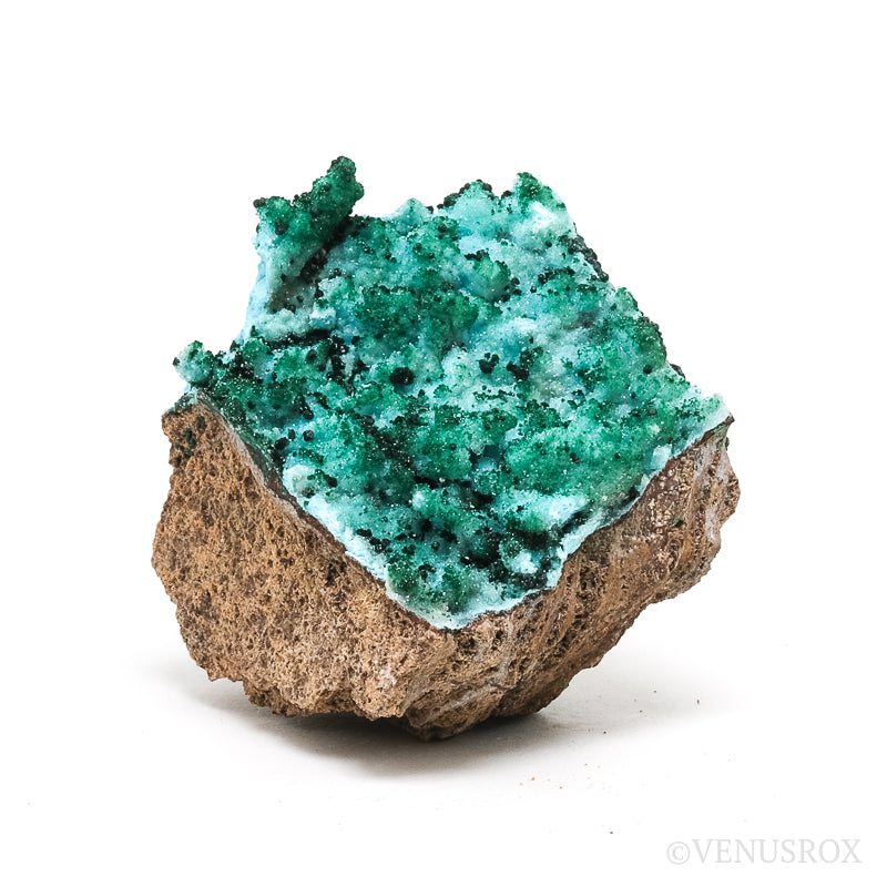 Chrysocolla with Malachite, Clear Quartz &amp; Matrix Natural Crystal from the Tenke-Fungurume Area, Lualaba, Democratic Republic of the Congo | Venusrox