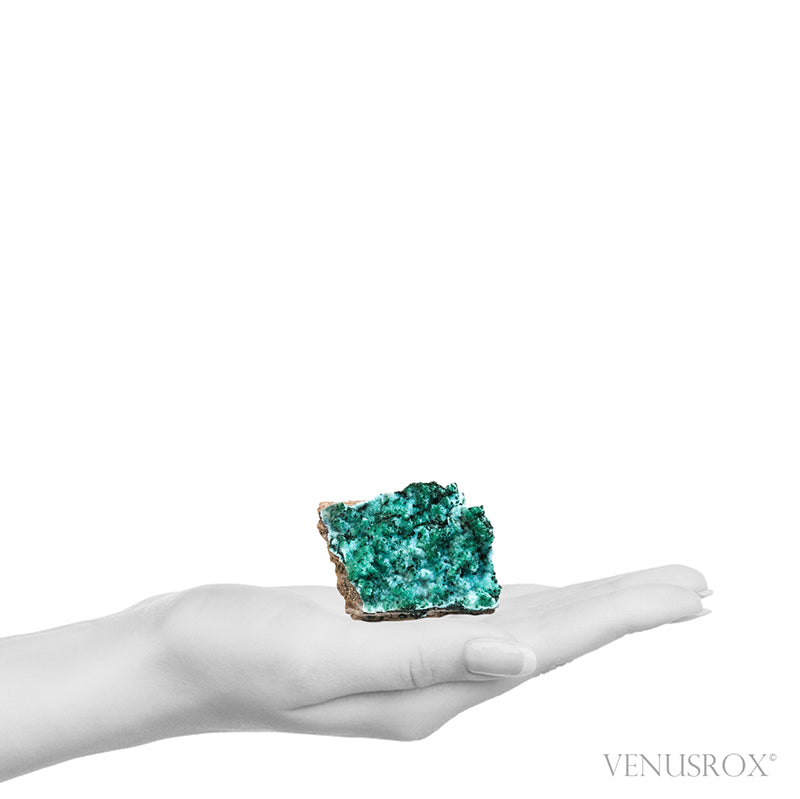 Chrysocolla with Malachite, Clear Quartz &amp; Matrix Natural Crystal from the Tenke-Fungurume Area, Lualaba, Democratic Republic of the Congo | Venusrox