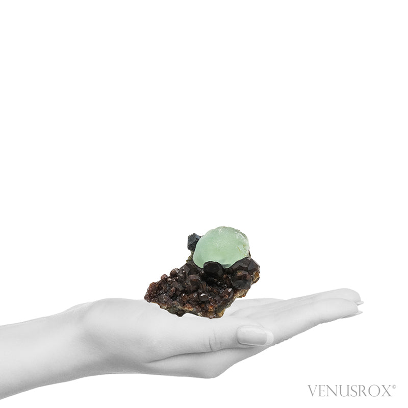 Prehnite with Epidote on Mali Garnet Natural Specimen from the Kayes Region, Mali, Africa | Venusrox