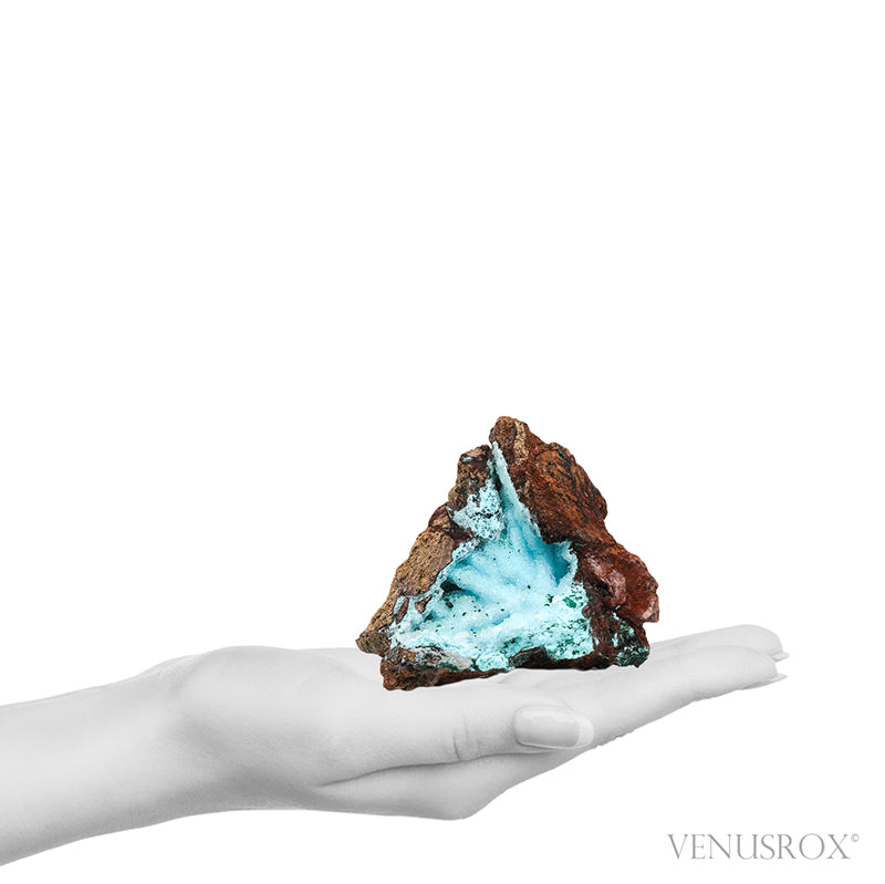 Chrysocolla with Malachite, Clear Quartz &amp; Matrix Natural Crystal from the Tenke-Fungurume Area, Lualaba, Democratic Republic of the Congo | Venusrox