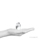 Black Phantom Lemurian Quartz Polished Crystal from Brazil | Venusrox