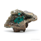 Dioptase with Quartz & Shattuckite on Matrix Natural Cluster from the Democratic Republic of Congo | Venusrox