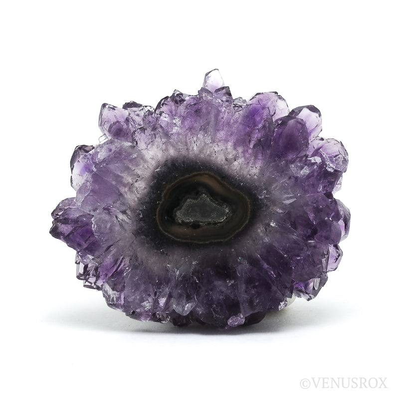 Amethyst with Agate Part Polished/Part Natural Slice from Brazil | Venusrox