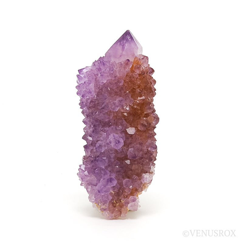 Amethyst Spirit Quartz Cluster from Mpumalanga, South Africa | Venusrox