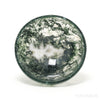 Moss Agate Bowl from India | Venusrox