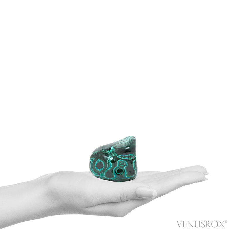 Malachite with Chrysocolla Polished Crystal from the Democratic Republic of Congo | Venusrox