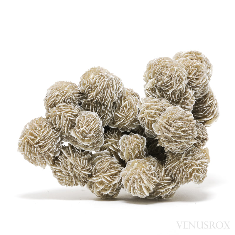 Desert Rose Natural Cluster from Mexico | Venusrox