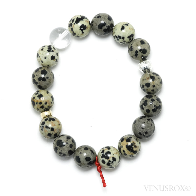 Dalmatian Jasper Bracelet from China | Venusrox