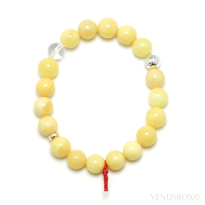 Baltic Amber Bracelet | Venusrox