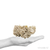 Desert Rose Natural Cluster from Mexico | Venusrox