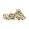 Desert Rose Natural Cluster from Mexico | Venusrox