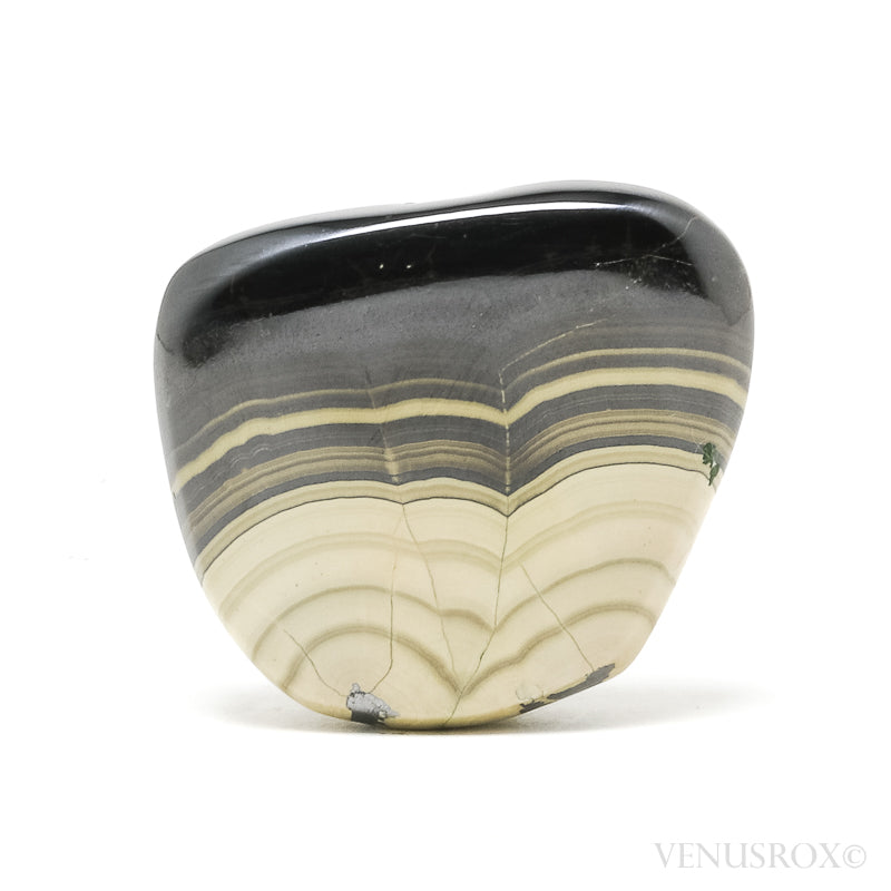 Schalenblende Polished Crystal from Olkusz, Poland | Venusrox