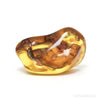 Baltic Amber Polished Crystal | Venusrox