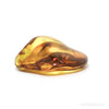 Baltic Amber Polished Crystal | Venusrox