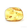 Baltic Amber Polished Crystal | Venusrox