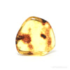 Baltic Amber Polished Crystal | Venusrox