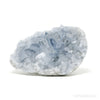 Blue Celestite Natural Cluster from Madagascar | Venusrox