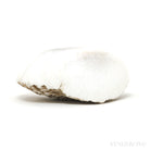 Scolecite Polished/Natural Crystal from India | Venusrox