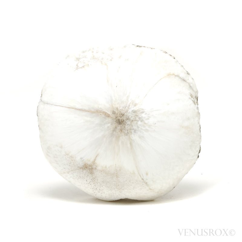 Scolecite Polished/Natural Crystal from India | Venusrox